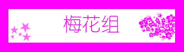 梅花组