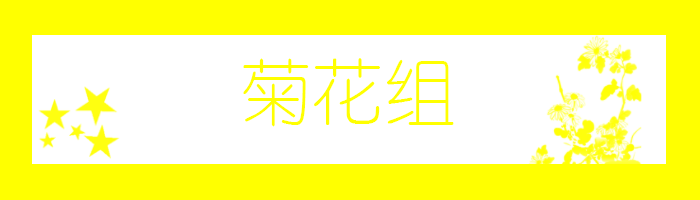 菊花组