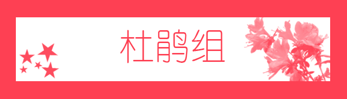 杜鹃组