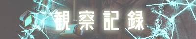 观察记录