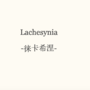 Lachesynia