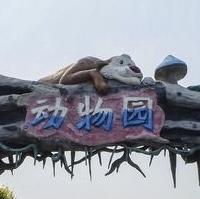 狂野老登