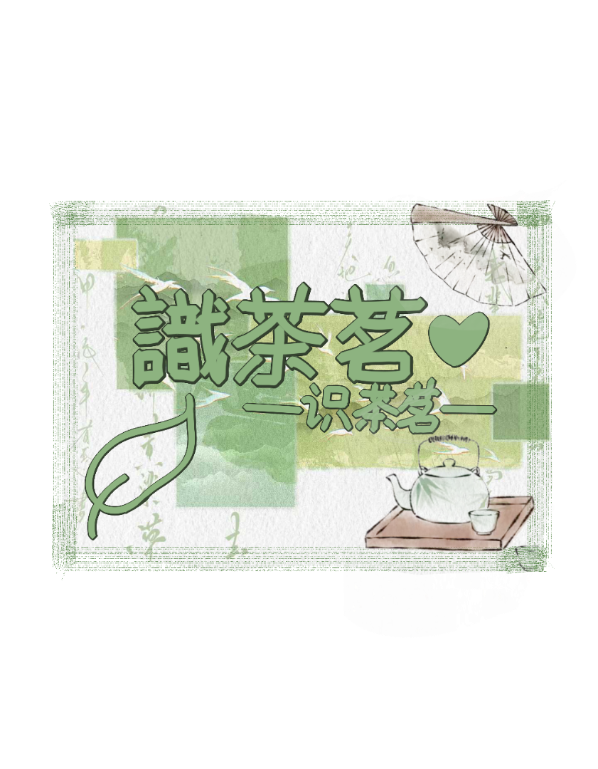 识茶茗