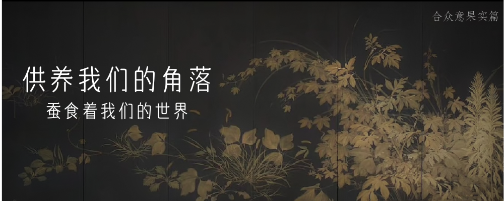 合众意校园源起